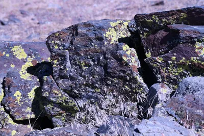 DSC_2251 (Large).JPG